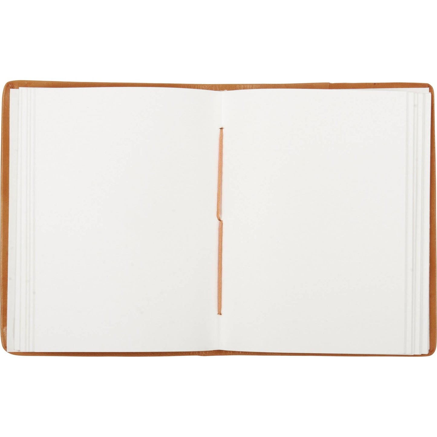 Capable Of Amazing Things Journal